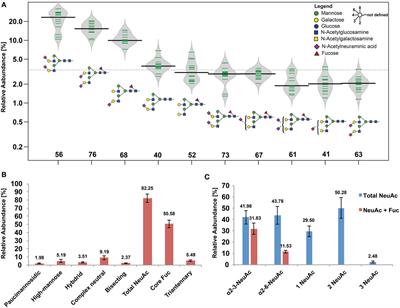 Alterations of the Human Skin N- and O-Glycome in Basal Cell Carcinoma and Squamous Cell Carcinoma